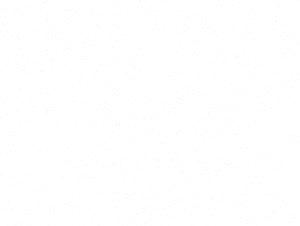 A1